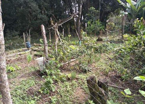 Vendo ou troco chácara em Quitandinha PR - Foto 4