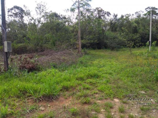 Terreno à venda, 360 m² por r$ 45.000 - vila das palmeiras - morretes/pr