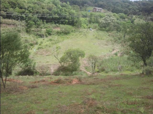 Chácara em Ana Rech - cód:267264 - Foto 4