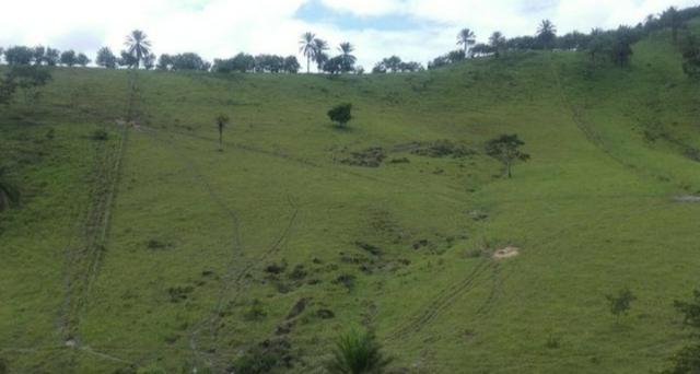 Propriedade em Joaquim Gomes - Foto 3