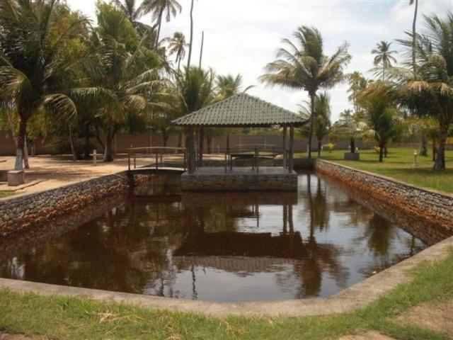 Grande oportunidade!! Lote com 765 m², de 200.000 por 140.000 (para pagamento a vistá )! - Foto 9