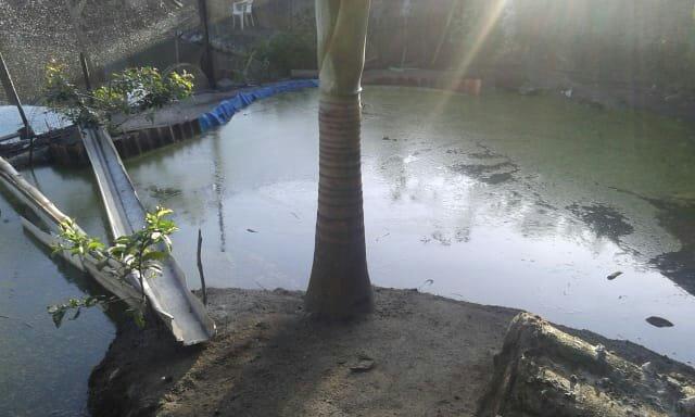 Chacara - Foto 8