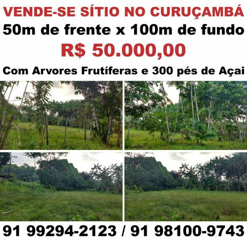 Sítio com fundos para o Rio Maguari