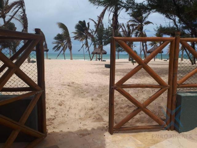 Apartamento com 1 dormitório à venda, vg sun cumbuco, 39 m² por r$ 250.000 - cumbuco - cau - Foto 10