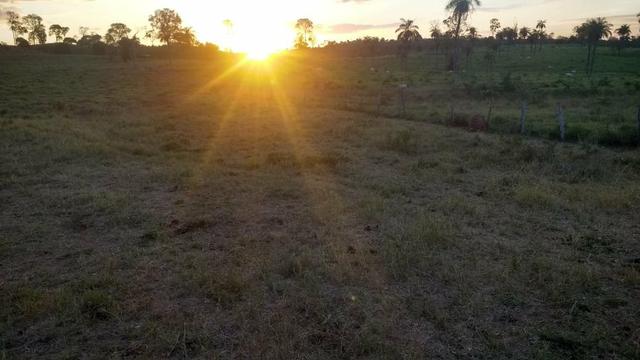 Fazenda - Foto 3