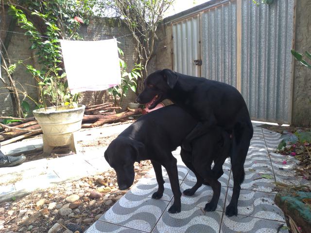 Vendo e aceito proposta garanta o seu e ajende - Foto 4
