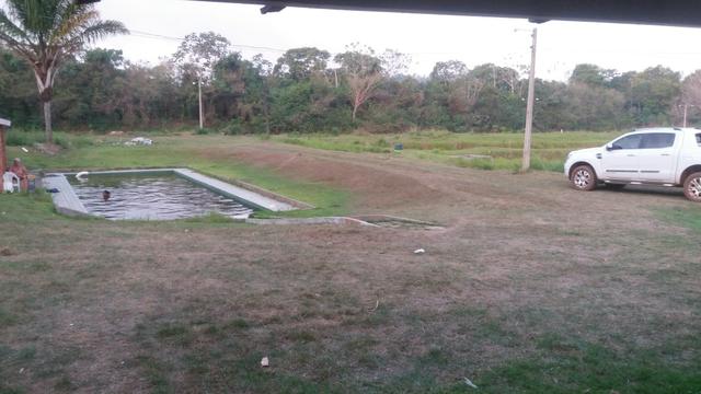 Terra 4 alqueires 200 metros Rio Tocantins 12 tanques - Foto 4
