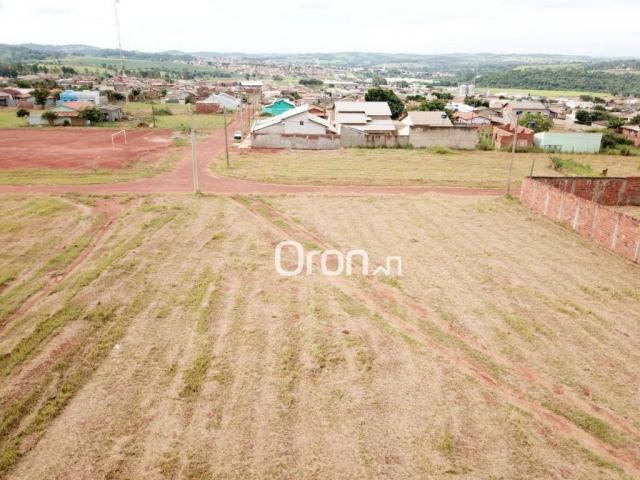 Terreno à venda, 738 m² por R$ 100.000,00 - Residencial Nova Cidade - Nerópolis/GO - Foto 4