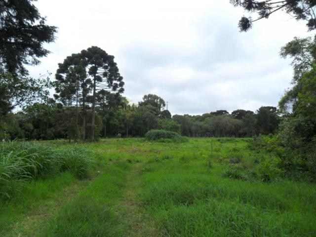 Terreno, Roseira, São José dos Pinhais-PR