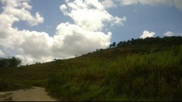 Propriedade em Joaquim Gomes - Foto 2
