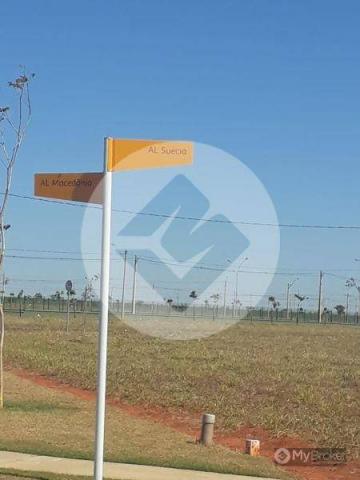 Condomínio Terras Alpha Anápolis - Foto 2