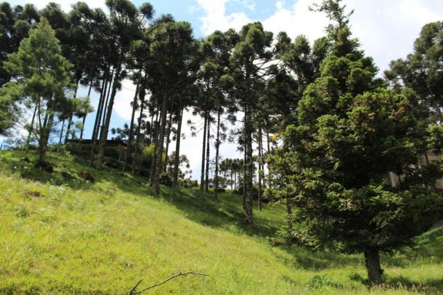MELHOR CONDOMÍNIO DE GRAMADO - Foto 9