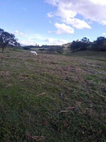 Sítio com 5 hectares, em São Sebastião do Rio Verde! - Foto 2