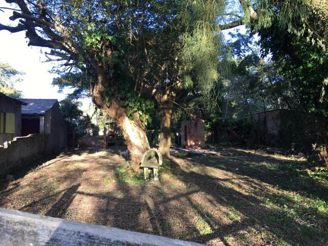Terreno - Foto 3