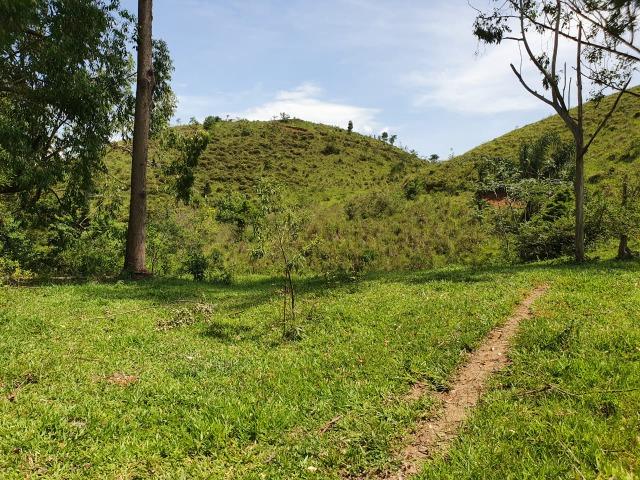 Sítio com 7 Alqueires, estrada do Turvo - Foto 8