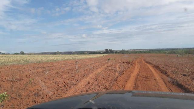 Excelente fazenda dupla aptidão - Foto 16