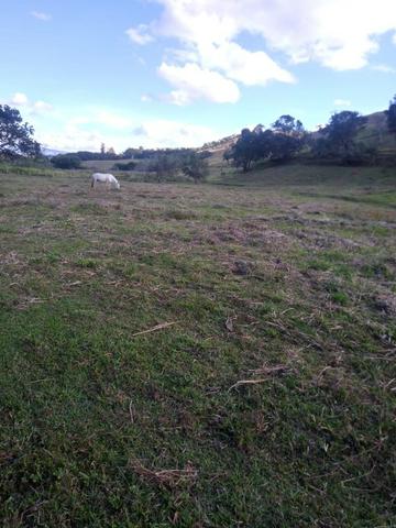 Sítio com 5 hectares, em São Sebastião do Rio Verde! - Foto 5