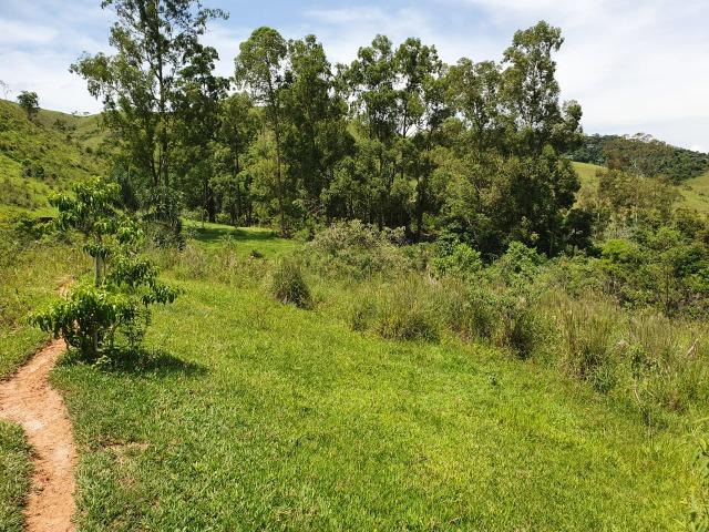 Sítio com 7 Alqueires, estrada do Turvo - Foto 16