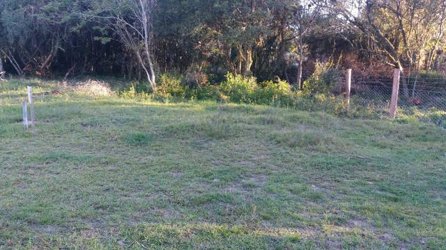 Terreno praia do lami - Foto 2