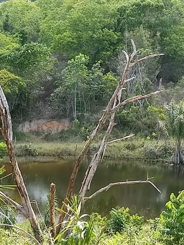 Sitio - Foto 7