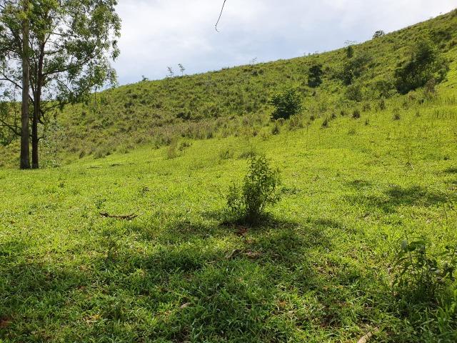 Sítio com 7 Alqueires, estrada do Turvo - Foto 9
