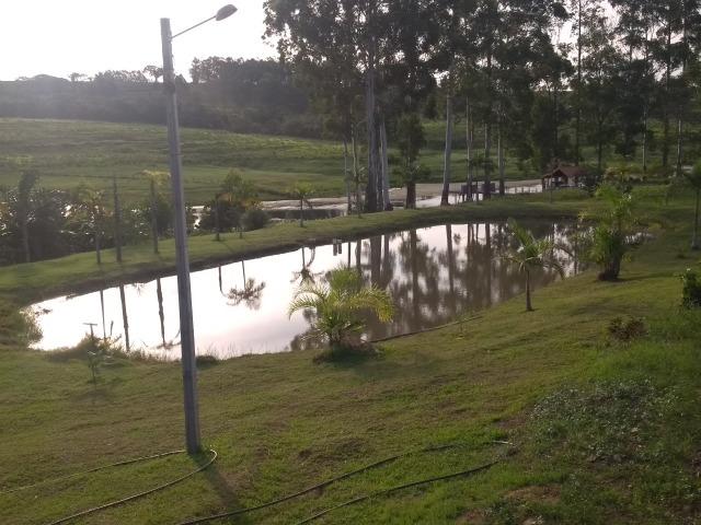 Vende-se Chácara a Beira da Represa em Carlópolis PR - Foto 16