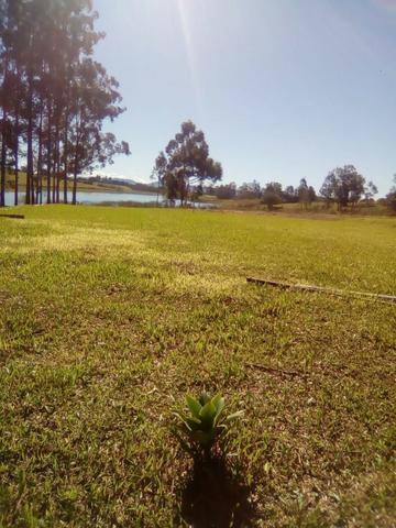 Vende-se Chácara a Beira da Represa em Carlópolis PR - Foto 15