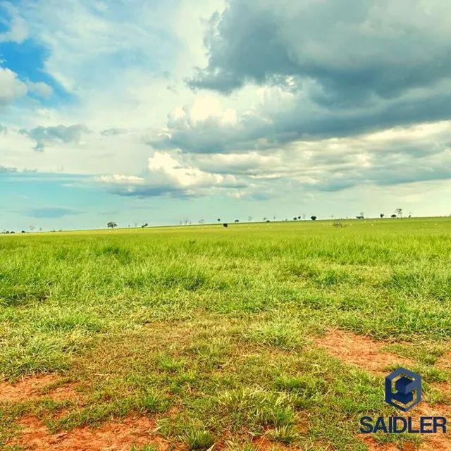 Faz em Nova Andradina-MS, 5.793 hectares. - Foto 8