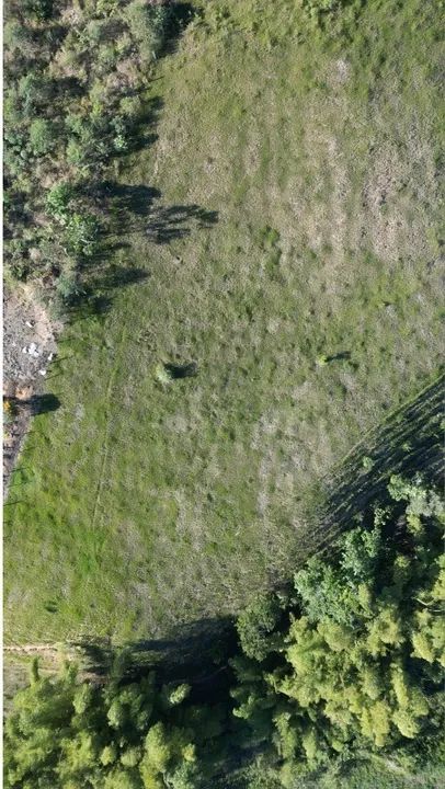 Oportunidade Única de Investimento: Terreno à Venda em Perobas, Domingos Martins! - Foto 7