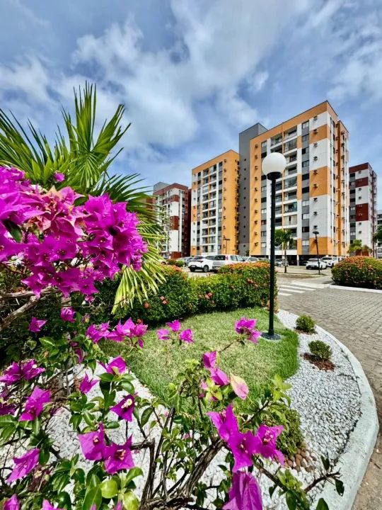 VENDO GRAND PARK PASSAROS