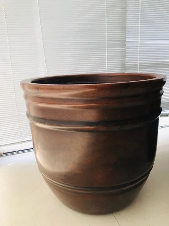 Vaso grande de plantas