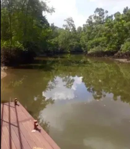 Lot. Porto marina quitado - Foto 4