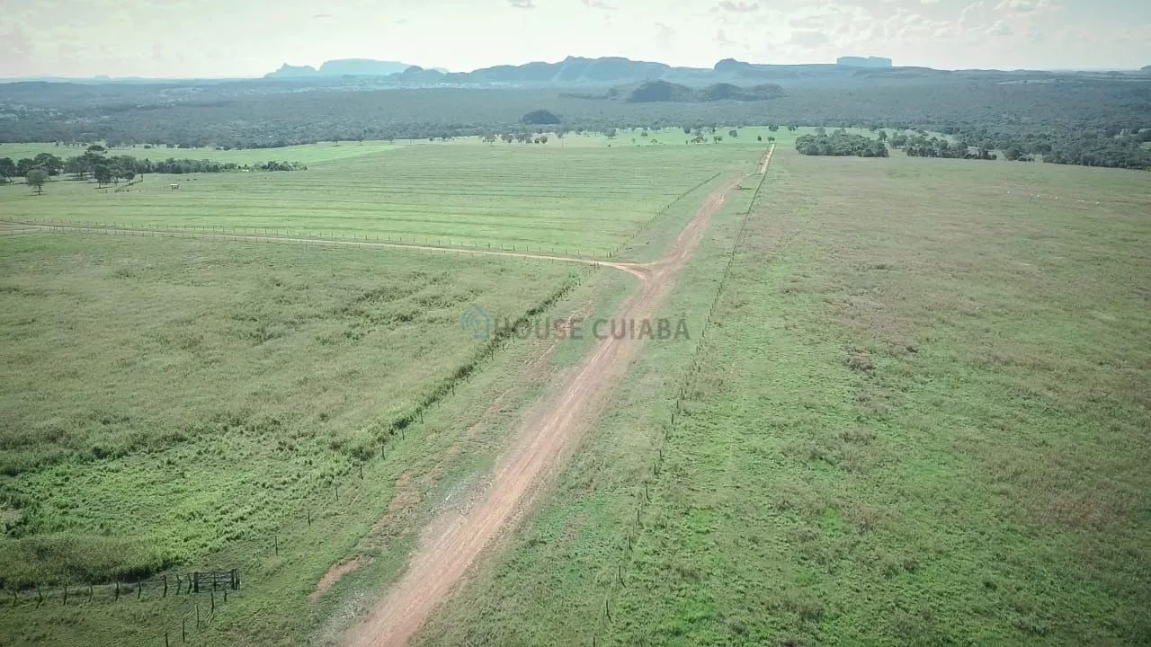 Vendo Fazenda Há 70 km de Rondonopolis - Foto 2