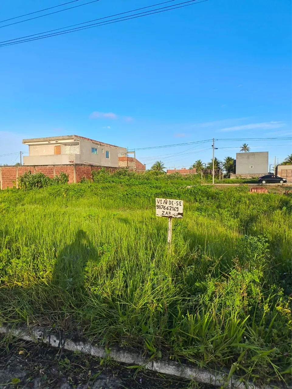 Terra Norte - Itapissuma