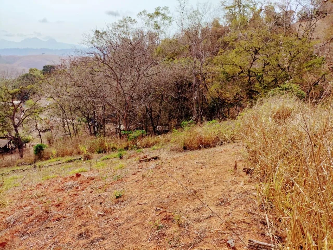 Terreno à venda - Excelente localização! - Foto 4