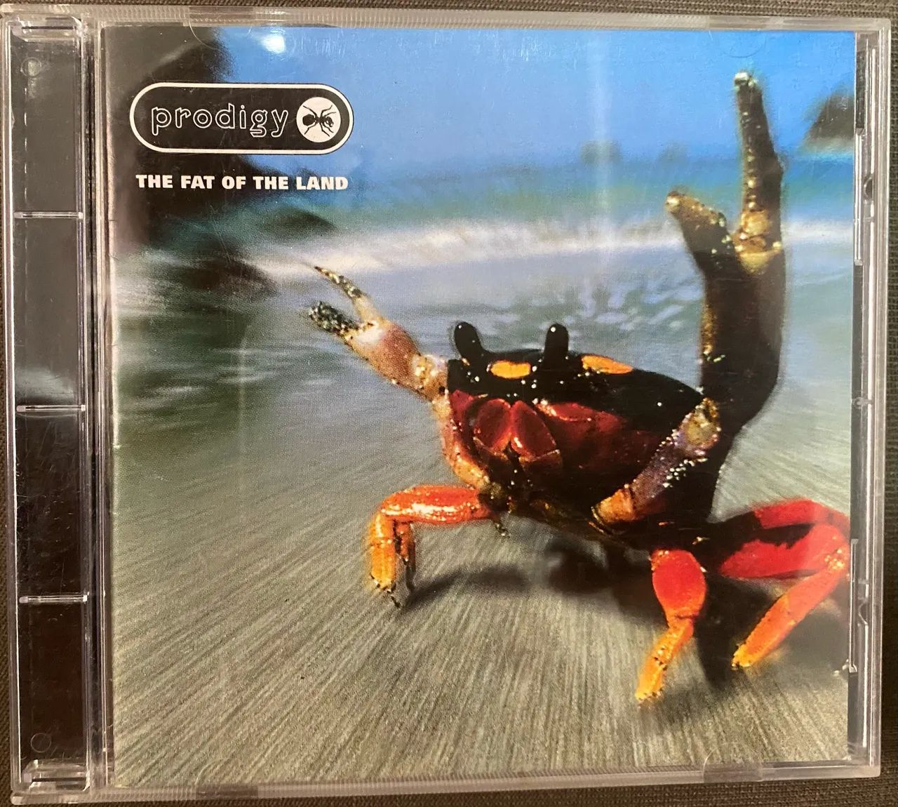 Cd Prodigy - the fat of the land