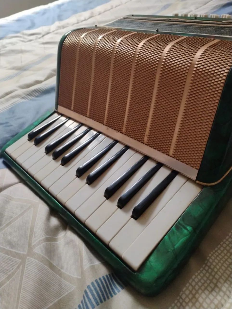 Acordeon  marca Hering  - Foto 3