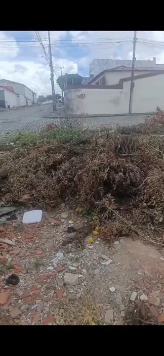 Terreno grande na Arquimedes Souto Maior - Foto 2