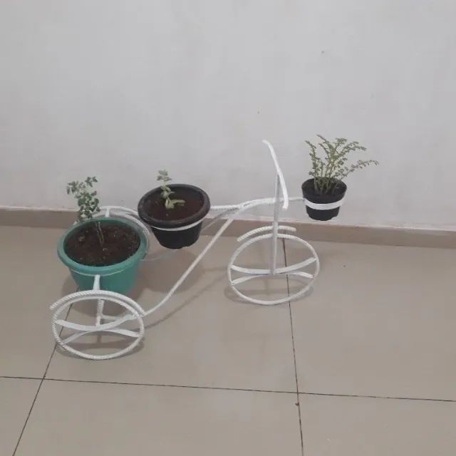 Vasos de plantas - Foto 3