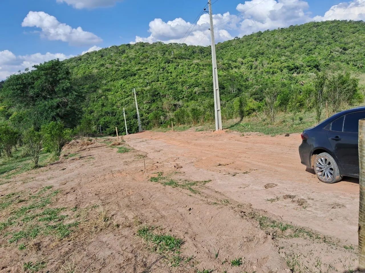 Foto - Moeda - 