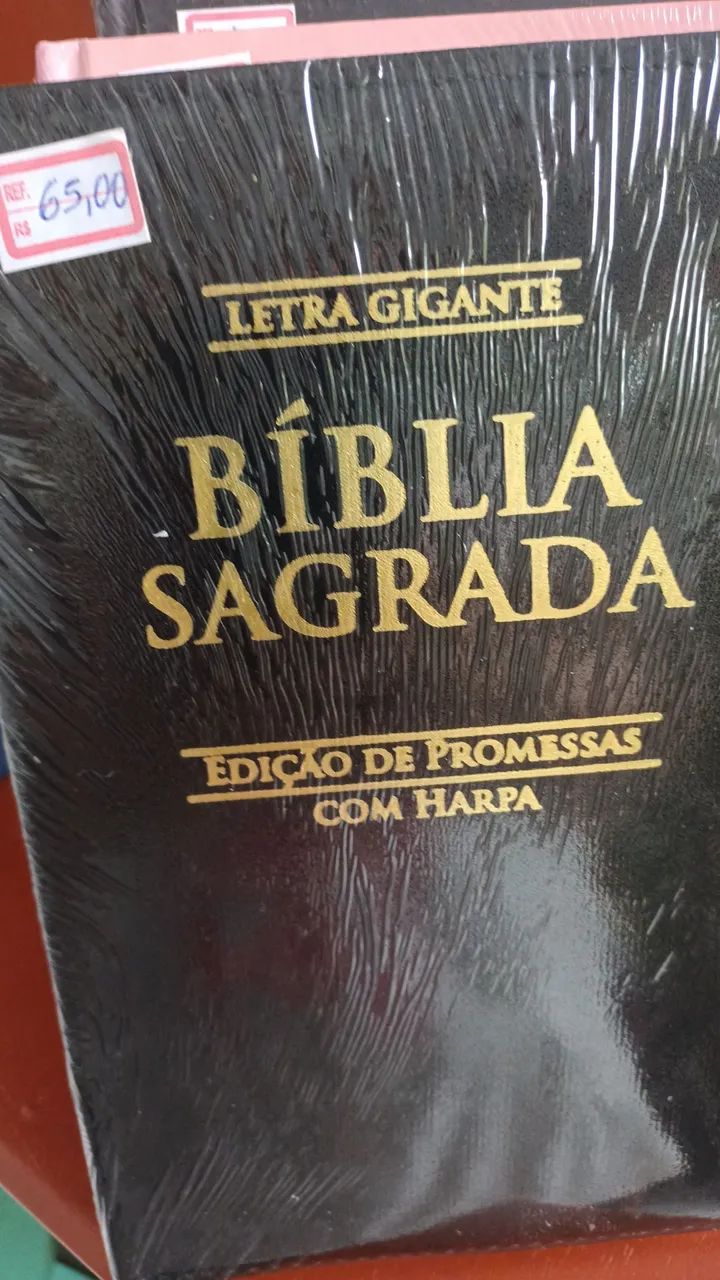 Bíblias em espanhol e português  - Foto 4