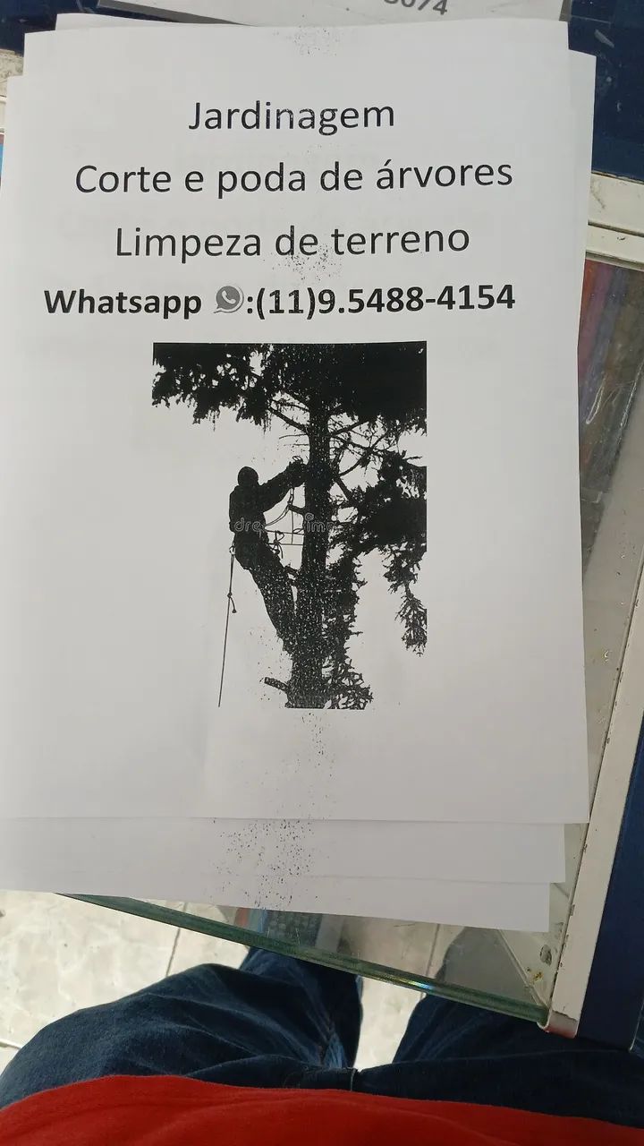 Corte e poda de árvores  - Foto 3