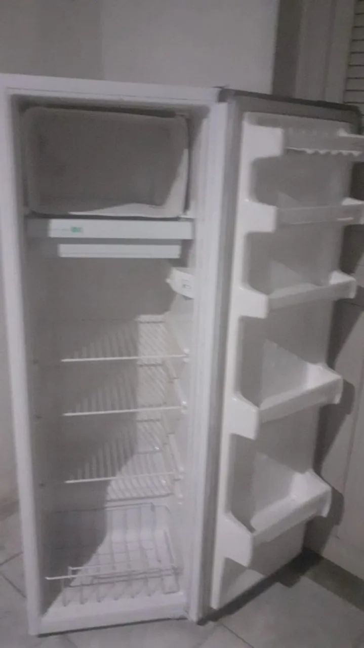 Geladeira Frost Free