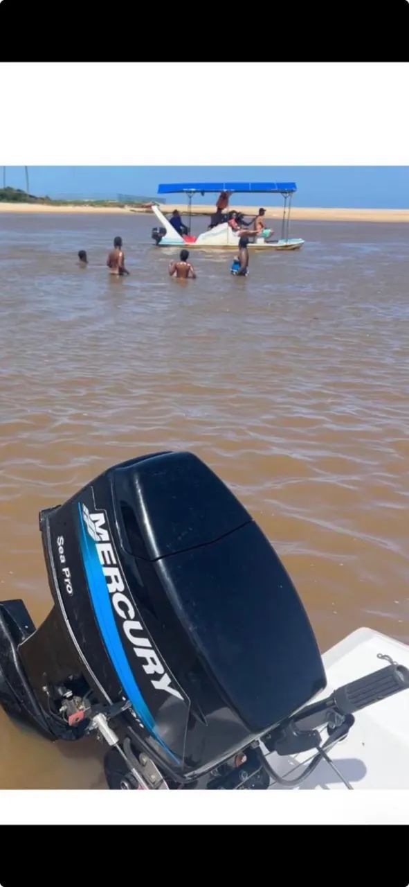 Motor de poupa 25 Hp mercury Sea pro 