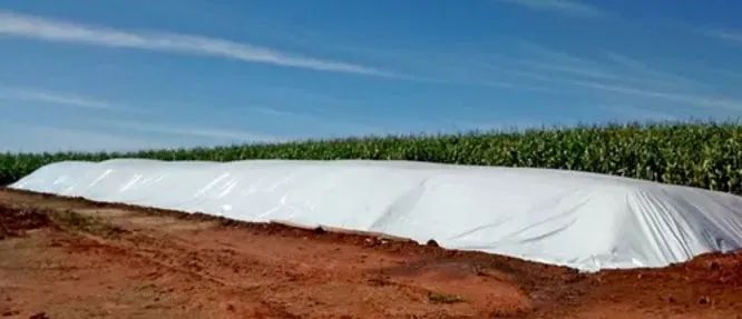 Lona Tanque de Peixes / Silo / Silagem / (Dupla Face) Preta/Branca - 200micras x 12mts Lar - Foto 2