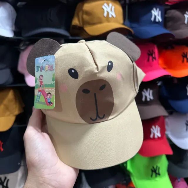 Kit C/12 Boné 3D Capivara Atacado