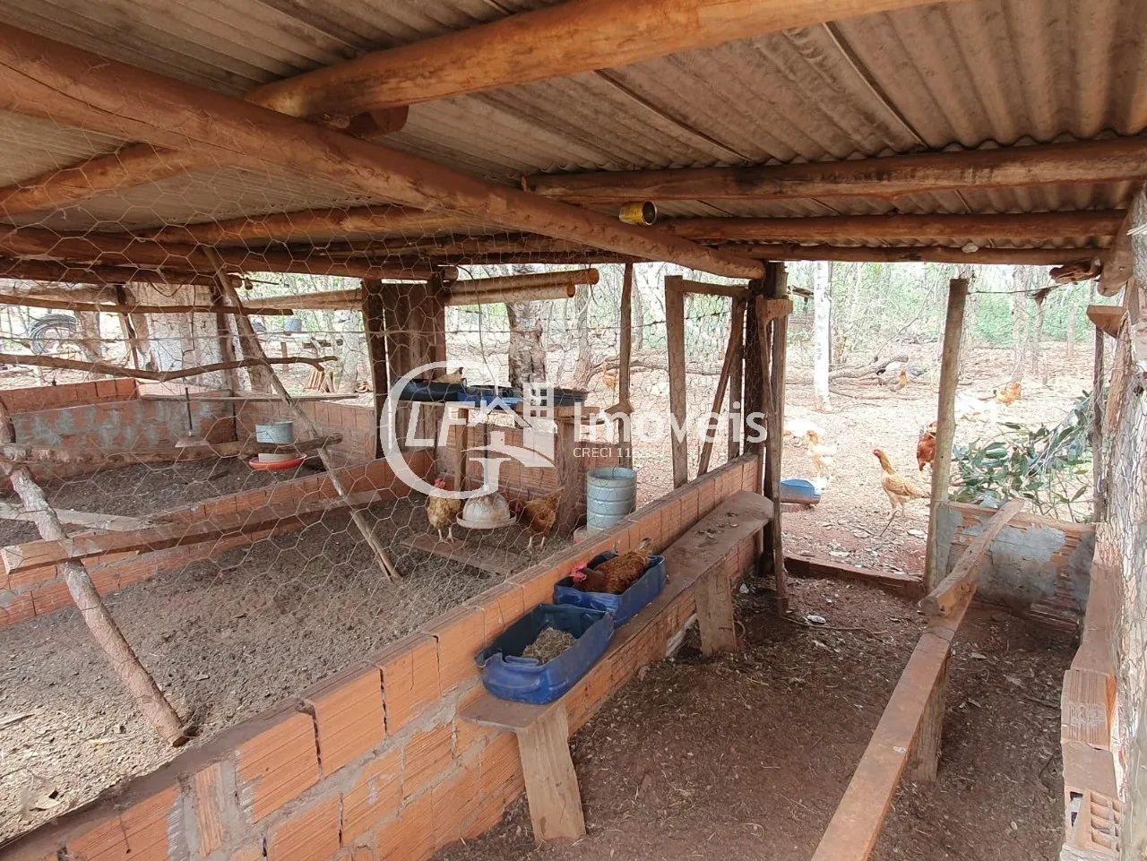 Chácara 7 Hectares com Poço-artesiano e Casa Grande - Foto 3