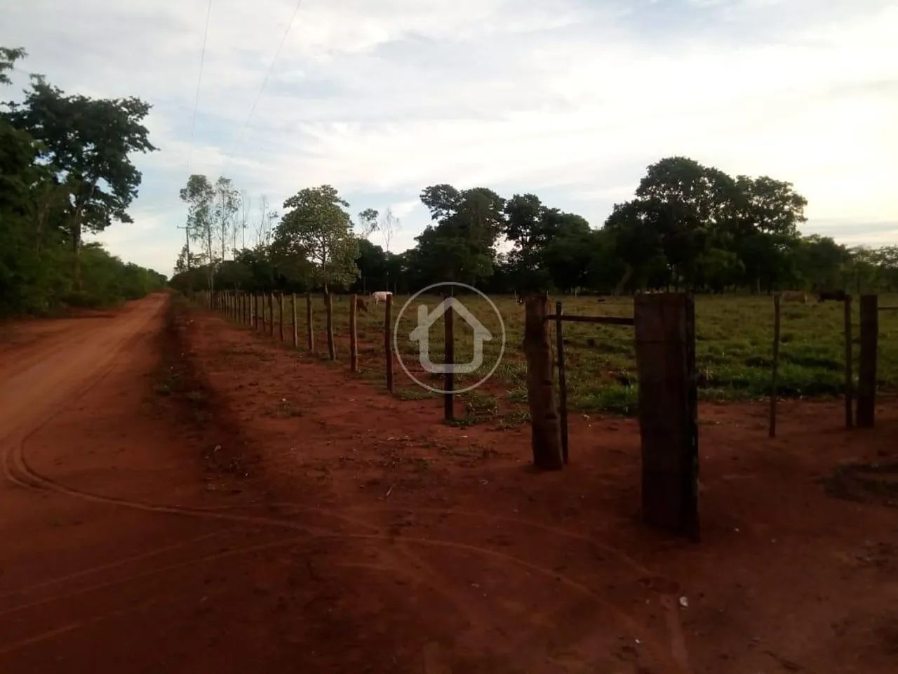 CHÁCARA COM 7 HECTÁRES - 68 KM DE CG EM TERENOS - Foto 2