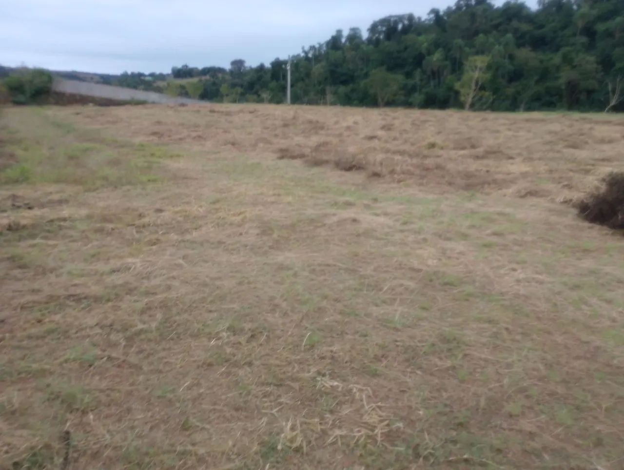 Trabalho  - Foto 4