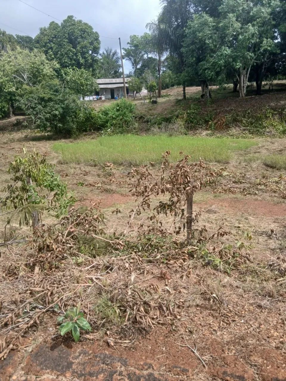 Fazenda Estrada de Altazes - Foto 4